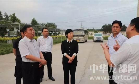 鄲城黨員干部同人民一起共慶黨的生日