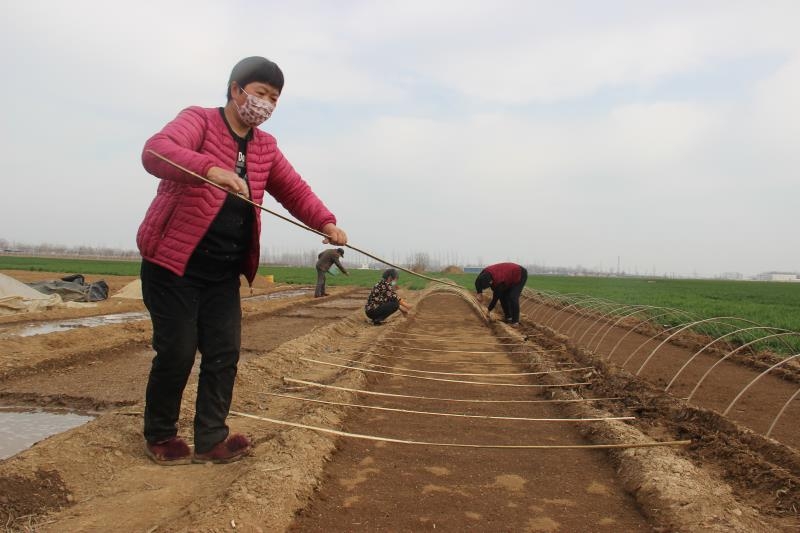 疫情防控、春耕生產(chǎn)兩手抓