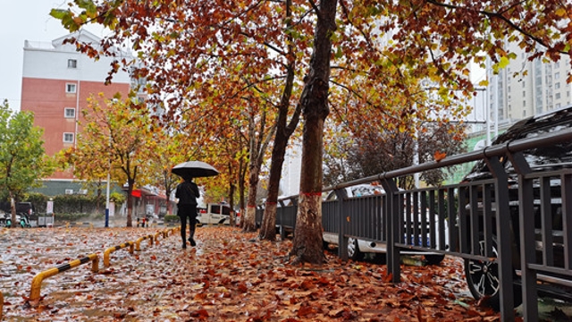 雨中周口，別有一番韻味